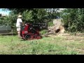 Cleaning up a dead tree with a Toro Dingo TX 1000 using a Grapple Rake