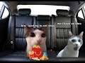 A Totally Normal Family Roadtrip (Cat Memes) | #shorts #funny #memes #cat #roadtrip #viral #xybzca