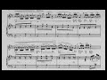 Havanaise (P. Viardot) Score Animation