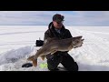 Ice Fishing Lake Trout - Lake Simcoe