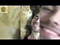 New Cats Videos 2024 😹 Funny Cat Videos − Funny Cats #funnycats #cat #cats #pets