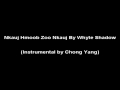 Nkauj Hmoob Zoo Nkauj Instrumental By Whyte Shadow (Chong Yang Cover)
