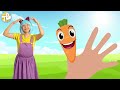 Boo Boo Finger Family + More | Tigi Boo Kids Songs