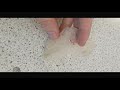 RSC Starch Polymer Video