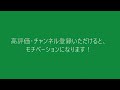 【亀飼育】お迎え2日目、ニホンイシガメベビーの餌やり風景