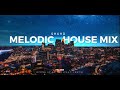 Melodic House Mix 2024 - Vol 3: Citylights Chill Progressive | Sultan + Shepherd, Ben Böhmer, ORACLE