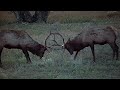 Wild America | S3 E1 Antlered Kingdom | Full Episode HD