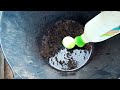 A quick easy fix for your hydrophobic soils and compost.