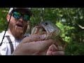 Fishing w/ Live Bait for BIG BASS in a Hidden Pond!! (CRAZY Catches)