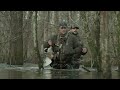 Green Timber Mallards!! (Arkansas Duck Hunt) K ZONE TV: 