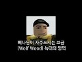 삐나님이 자주쓰시는 브금 (Wolf Wood) 늑대의 영역