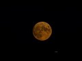 Harvest Moon Rise Sept 9 2022-Time Lapse Video