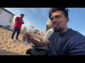 Feeding over 1Lakh Pigeons at Marina Beach! 😮| Heartful Video❤