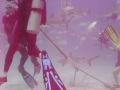 Shark Feeding Dive - Aqua Cat - Bahamas - Extended sequence