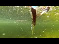 Underwater Tornado - Whirlpool