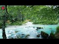 1 HOUR OF GENTLE RIVER MEDITATION | CALM MUSIC WITH WATER SOUNDS | DEEP RELAXATION AND MINDFULNESS