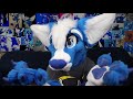 Free fursuits, fursuit cooling, & what would YOU be if furries were real?! [Q&A #17]