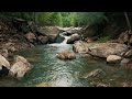 Indulge in Nature's Nourishing Power #nature #water #forest #river #asmr #wellness #sounds #relax