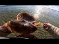 Fluke Fishing From Shore (Summer Flounder)