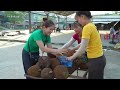 Harvest Many Jackfruits ( Mít Mít ) From The Tree goes to the market sell - Cooking dinner