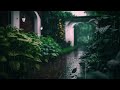 Healing rain sounds for comfortable rest and sleep (ASMR, white noise, 8 hours)