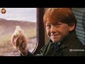 Every Hidden Detail/ Easter Egg in Harry Potter and the Philosopher's Stone (FULL FILM BREAKDOWN)