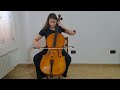 J.S. Bach, Suite no.2 in D minor, Sarabande, BWV 1008