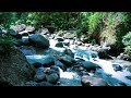 Relaxing Mountain Stream Nature Sounds White Noise for Stress Reliefe and Sleep Well