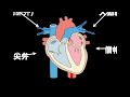 心臓血管外科医が紹介する、手術に使う道具7選！＜前編＞※手術シーンあり