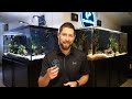 How to Remove Algae in an Aquarium | Fish Tank Algae Control