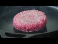 The Science of Burgers and How to Make the Best Homemade Burger | Burgers | What's Eating Dan?
