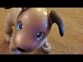 Our New Dog, AIBO: Pet Replacement Robot?!