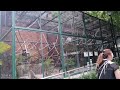 Tempat Wisata Di Macao//Macao Giant Panda Pavilion