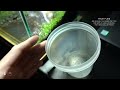 Make a Terrarium POND for Tiny FROGS ｜ビバリウム