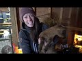 Morning Chores FARM TOUR! | Extreme Cold Edition!