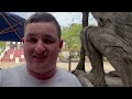 Busch Gardens Tampa Bay Vlog 2024 | Florida Trip Day 6 Vlog