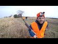 Minnesota Pheasant Huntning