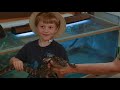 Awesome Gators & Amazing Reptiles at Wildlife Park | Kids Songs | Moonbug Kids