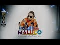 Maluco Pero Sabroso REMIX -  Big Deivis ft Young F, Louis Towers, Keyvin C, Mc Car