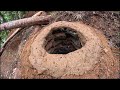 Building a DUGOUT in the wild forest from start to finish 3 TOOLS ONLY. Short version in 40 minutes