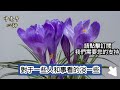 人老了才明白：養面相，就是養福氣！一定要知道！【中老年心語】#養老 #幸福#人生 #晚年幸福 #深夜#讀書 #養生 #佛 #為人處世#哲理