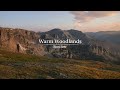 Warm Woodlands - Bon Iver | Mix