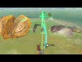 Unique Physics in Zelda TOTK