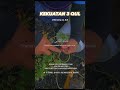 Kebaikan Mengamalkan Surah 3 Qul