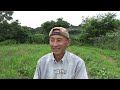 【自然農】夏野菜の育ちが違う！「適期の種まき」　2024年7月16 日【natural farming】