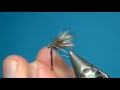 Fly Tying Championship Caddis | Hackles & Wings