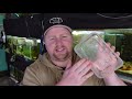 Save Your Aquatic Plant Trimmings, Grow Them Emersed! Easy Aquatic Plant Growout System