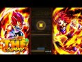 HOW TO GET GODLY OR ANY TYPE OF EQUIPMENTS!!! FULL DEPTH GUIDE ( 2024 ) | Dragon Ball Legends
