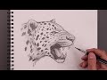 How To Draw a Leopard | Sketch Tutorial