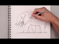 How To Draw an African Elephant | Beginner's Sketch Tutorial